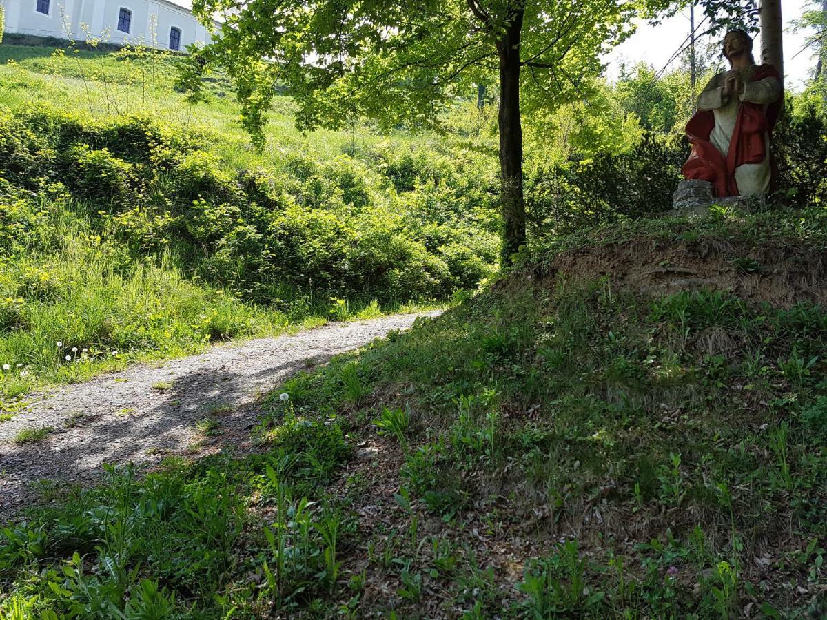 Gasthof Restaurant Steirereck'N Schwanberg Luaran gambar